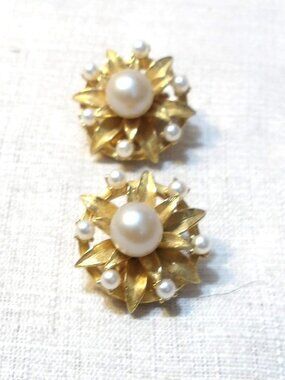 Stunning *** Clip - EARRINGS **